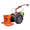 چمن زن